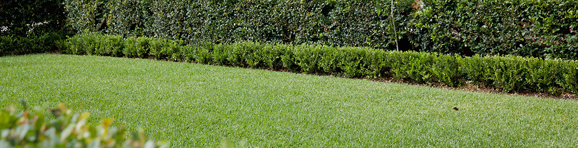 Hero – repair lawn.png Hero – repair lawn.png