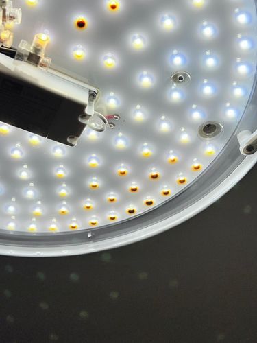 IMG_4081.jpeg IMG_4081.jpeg