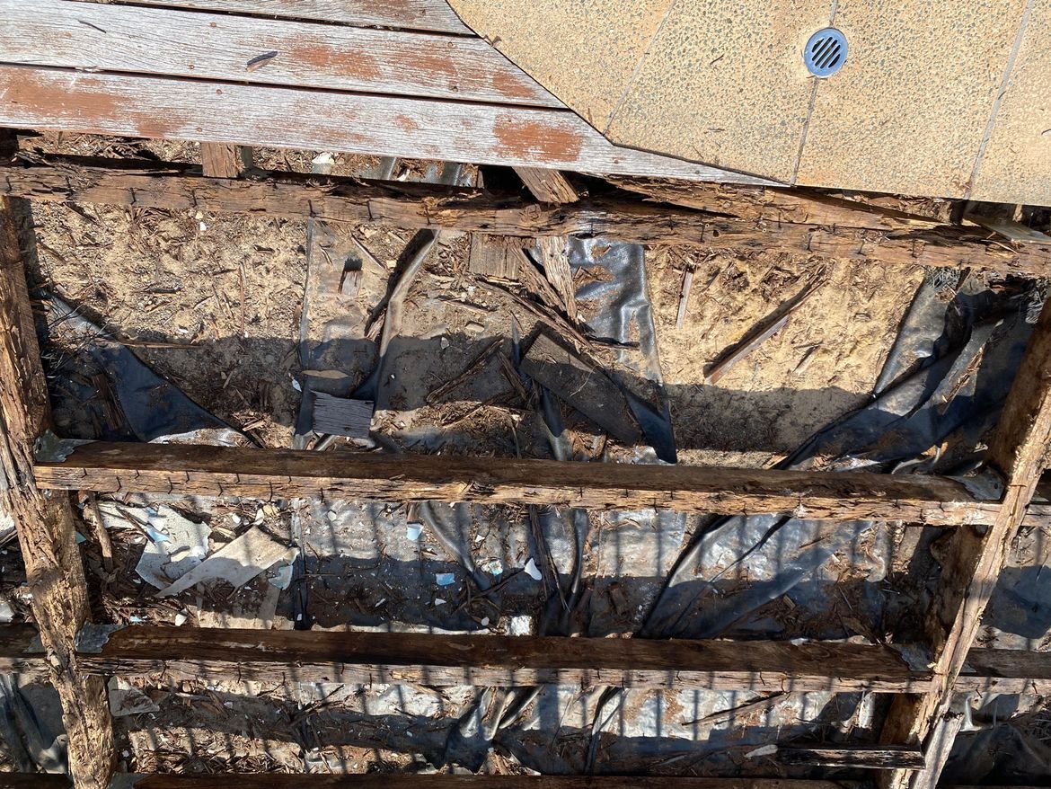 IMG_6750.jpg IMG_6750.jpg