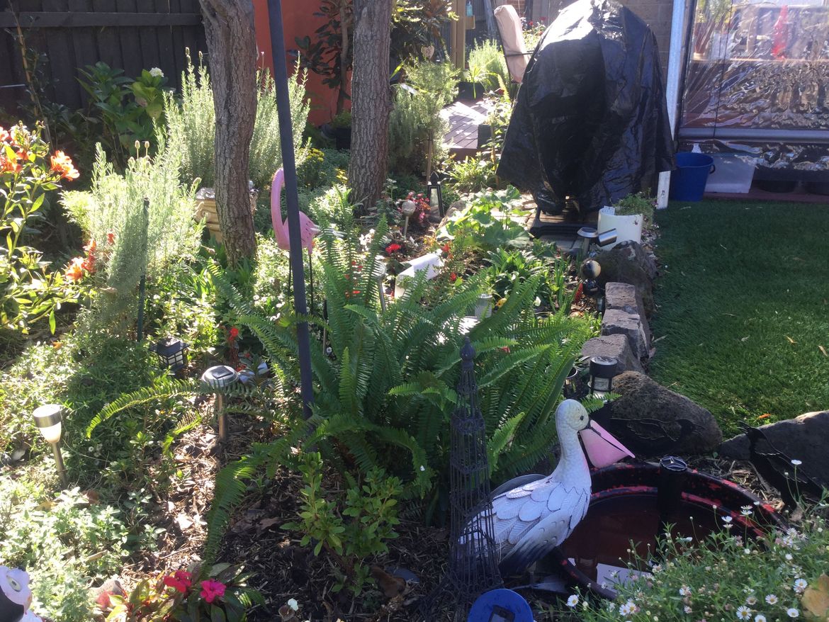 7D7B631A-A6A0-4E5E-B311-1F323EFECB7A.jpeg 7D7B631A-A6A0-4E5E-B311-1F323EFECB7A.jpeg