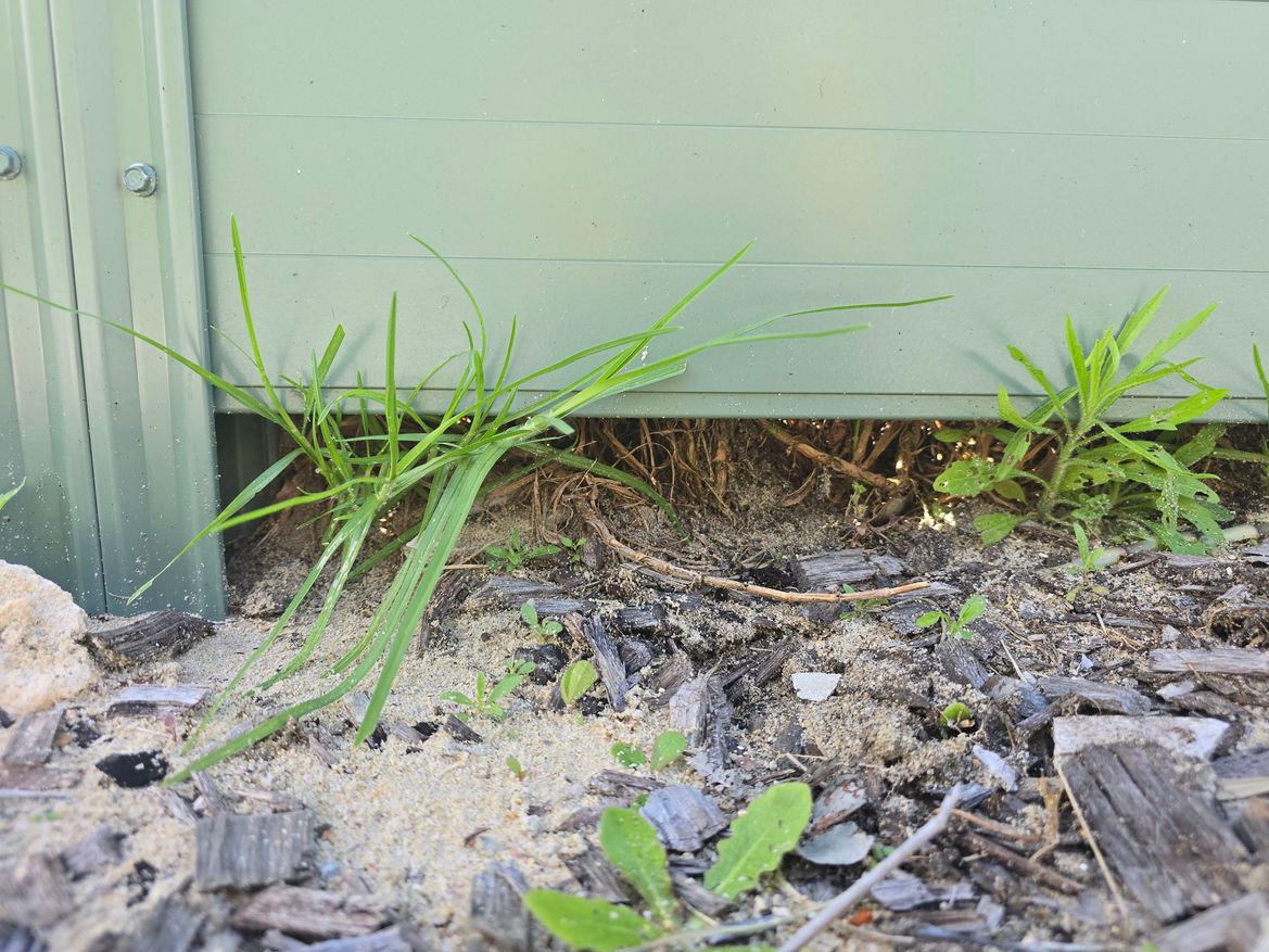 20251031_112225.jpg 20251031_112225.jpg