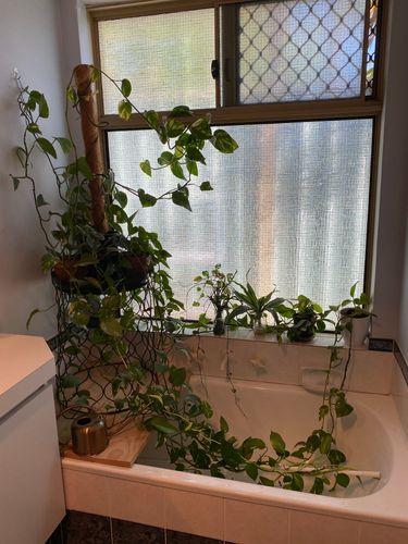 A9C32B66-C448-4C61-8660-4C6CFEF51798.jpeg A9C32B66-C448-4C61-8660-4C6CFEF51798.jpeg