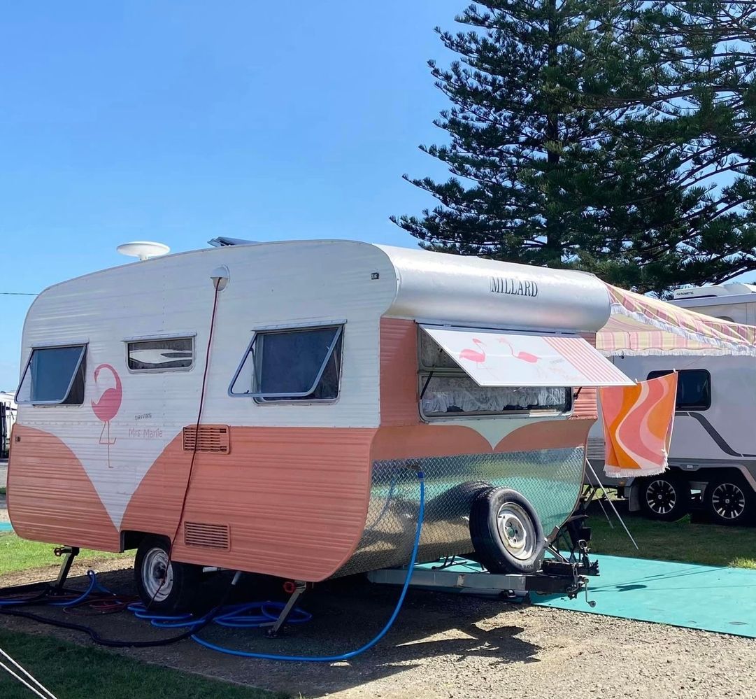 IMG_1541.jpeg IMG_1541.jpeg