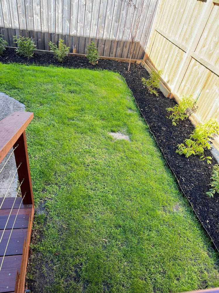 garden 1.jpg garden 1.jpg