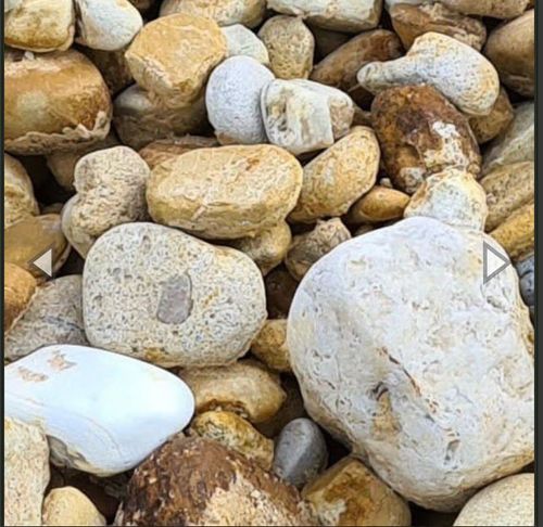 0C52BCB0-541E-4A63-89ED-55A8B1B3F7D8.jpeg 0C52BCB0-541E-4A63-89ED-55A8B1B3F7D8.jpeg