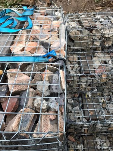 113 21-09-2024.jpg 113 21-09-2024.jpg