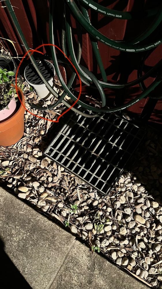 IMG_8620.jpg IMG_8620.jpg