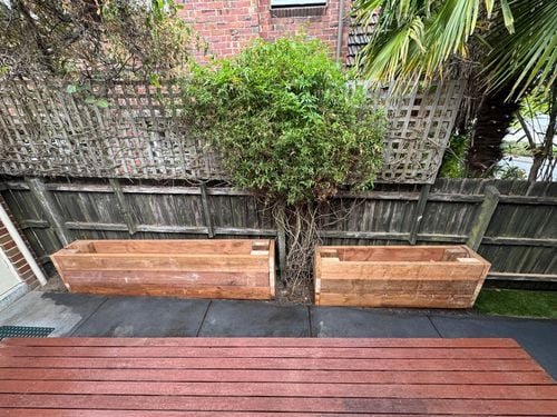 IMG_0333.jpeg IMG_0333.jpeg