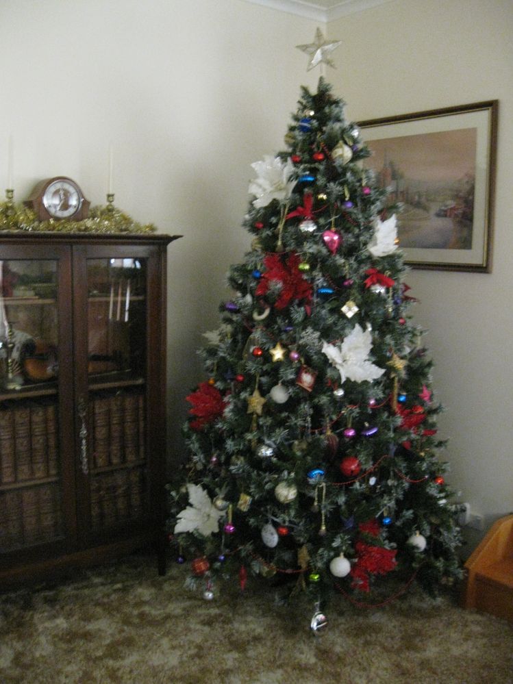 Deck the hall with boughs of holly............. - Bunnings Workshop ...
