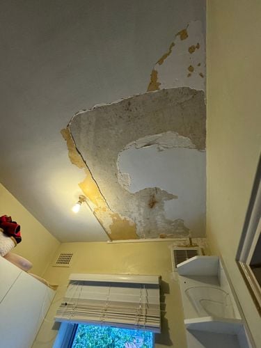 IMG_9009.jpeg IMG_9009.jpeg