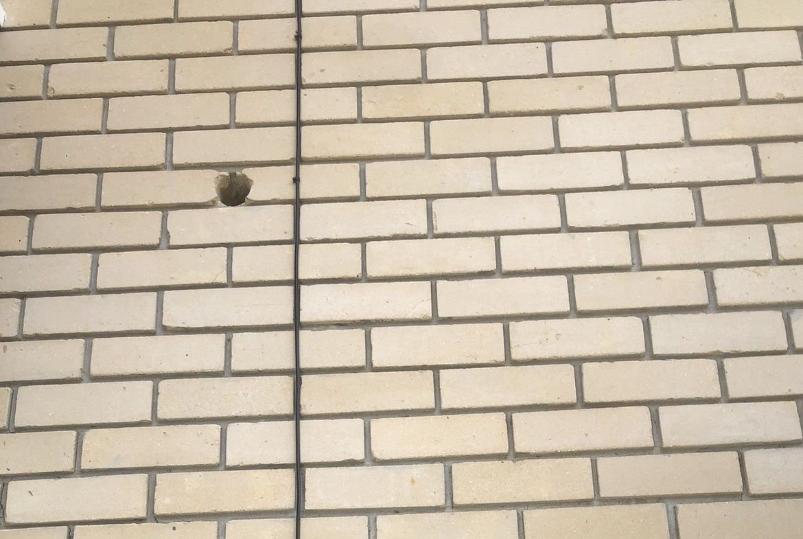 IMG_4484.JPEG IMG_4484.JPEG