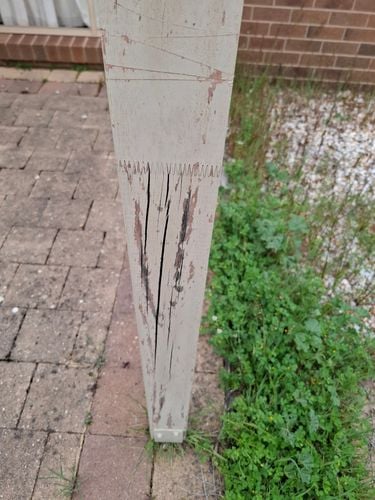 1000009935.jpg 1000009935.jpg