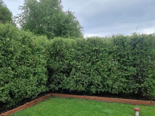 20231125_144944.jpg 20231125_144944.jpg