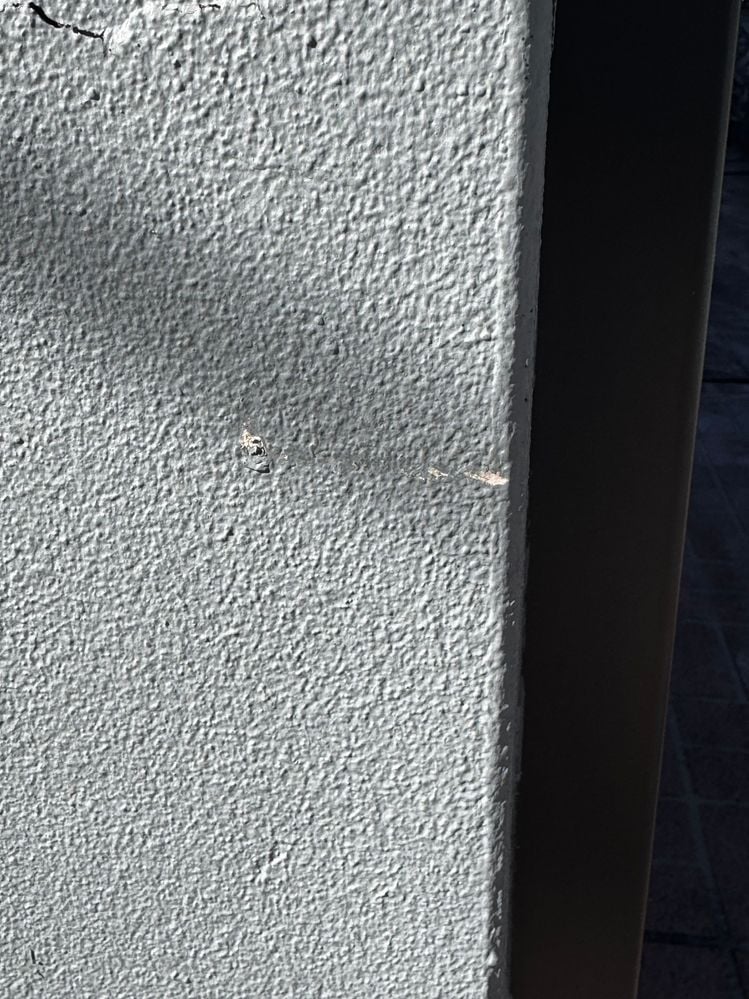 IMG_4132.jpg IMG_4132.jpg