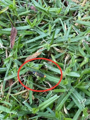 C1635777-19B3-462F-966E-47178AC81569.jpeg C1635777-19B3-462F-966E-47178AC81569.jpeg