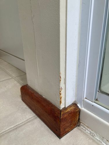 IMG_8972.jpeg IMG_8972.jpeg