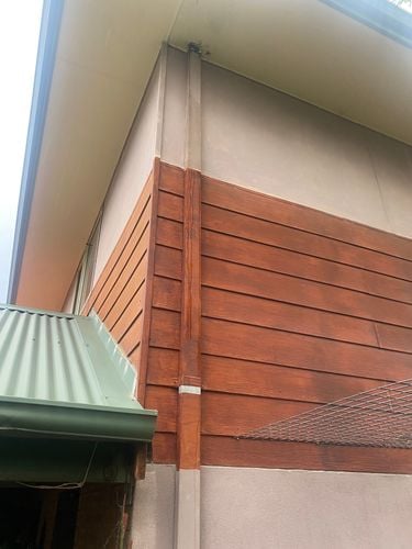 IMG_1175.jpeg IMG_1175.jpeg