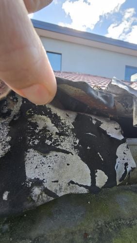 1000026101.jpg 1000026101.jpg