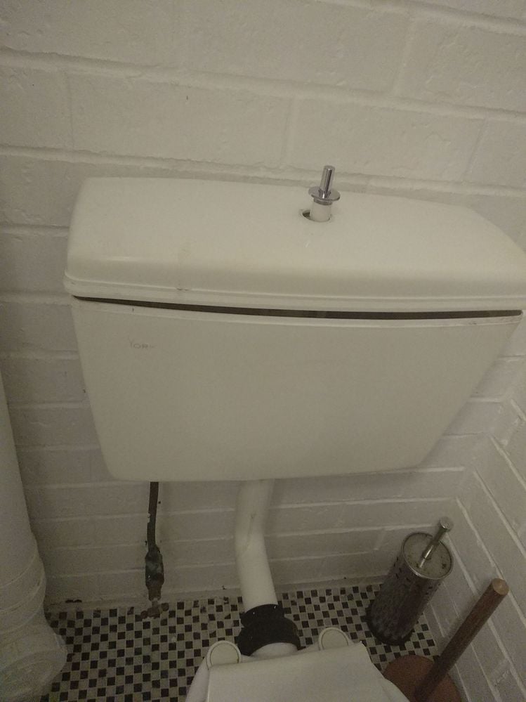 IMG_20180331_115941.jpg IMG_20180331_115941.jpg