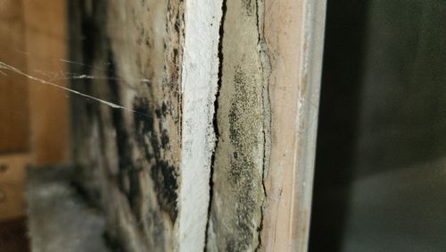 20240116_082552.jpg 20240116_082552.jpg