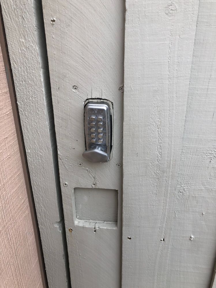 IMG_7067.jpeg IMG_7067.jpeg