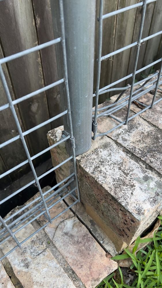 IMG_1698.jpeg IMG_1698.jpeg