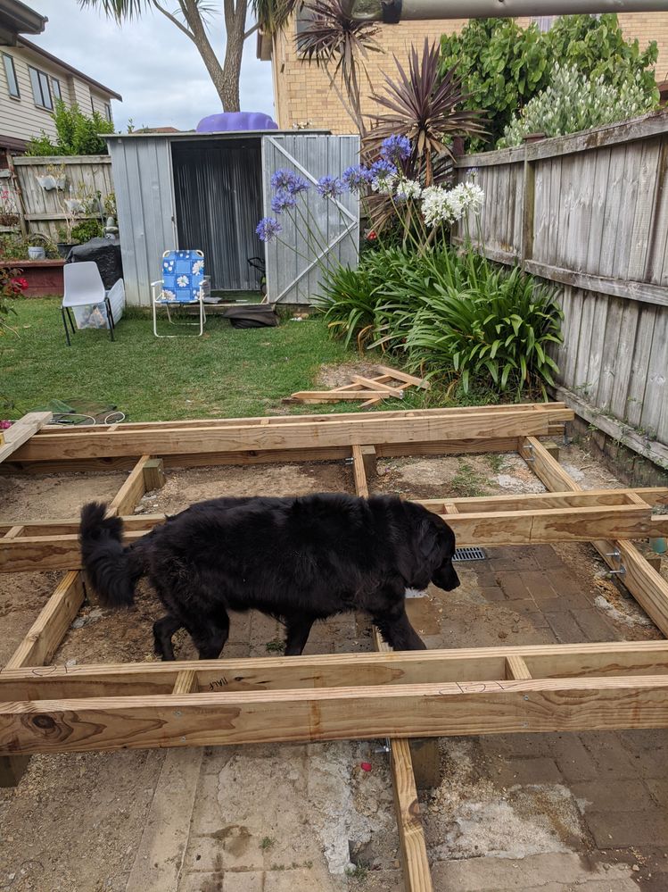 IMG_20201222_164509.jpg IMG_20201222_164509.jpg