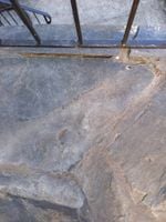 472920688_438358502563924_8272504014428736457_n.jpg 472920688_438358502563924_8272504014428736457_n.jpg