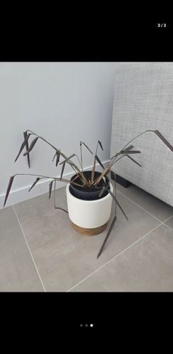 1000012428.jpg 1000012428.jpg