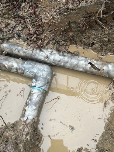 77124AB8-80D5-436D-865A-BF92FBD6EB1C.jpeg 77124AB8-80D5-436D-865A-BF92FBD6EB1C.jpeg