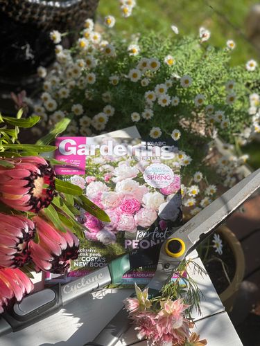 6A08EEF8-47B0-4E4D-BBB4-69B8D46F3CB3.jpeg 6A08EEF8-47B0-4E4D-BBB4-69B8D46F3CB3.jpeg