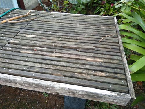 IMG_20200505_093131.jpg IMG_20200505_093131.jpg