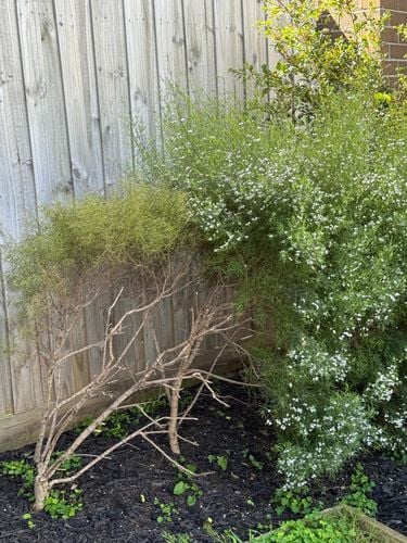 IMG_3454.JPG IMG_3454.JPG