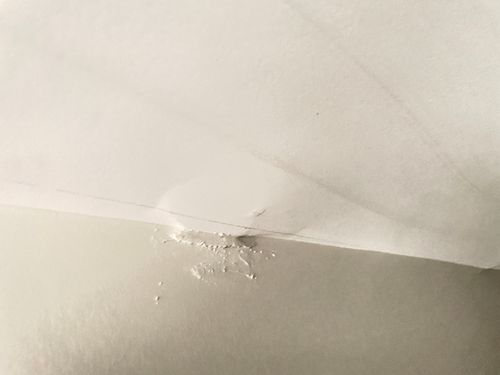 IMG_5484.jpeg IMG_5484.jpeg