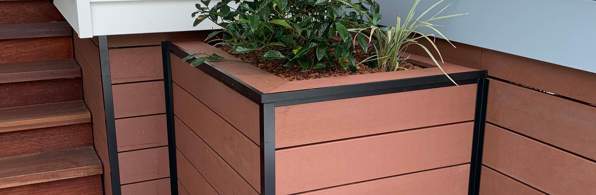 Adam_W.png Adam_W.png