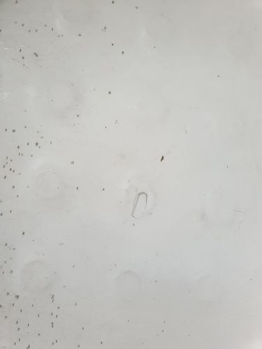 20240208_120207.jpg 20240208_120207.jpg