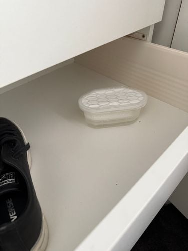 IMG_4475.jpeg IMG_4475.jpeg