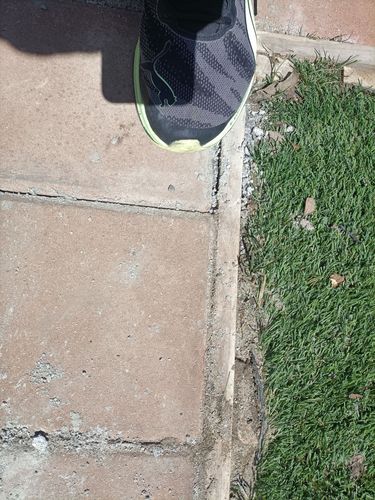 IMG20241205150352.jpg IMG20241205150352.jpg