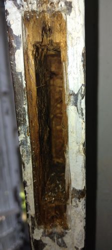 1000187673.jpg 1000187673.jpg