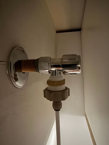 IMG_0234.jpeg IMG_0234.jpeg