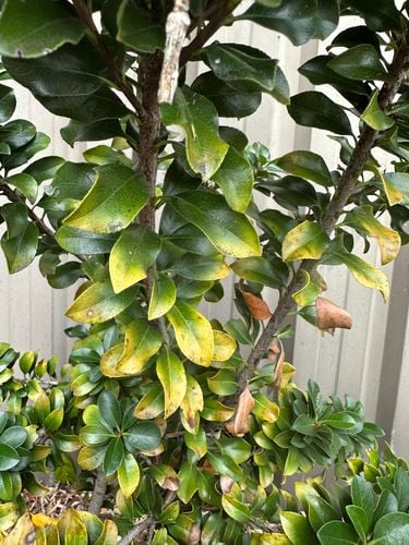 IMG_8637.jpeg IMG_8637.jpeg