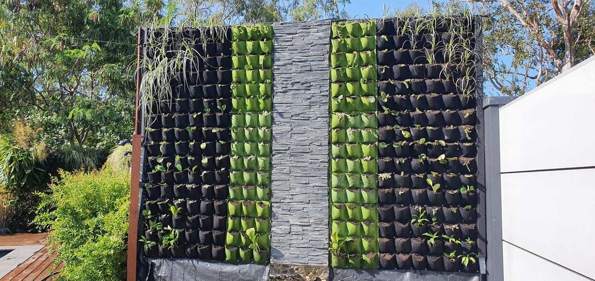 20211024_152828.jpg 20211024_152828.jpg