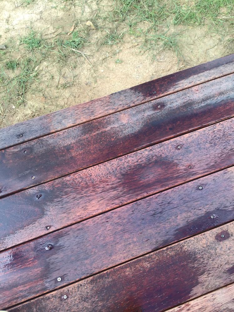 IMG_0939.jpeg IMG_0939.jpeg