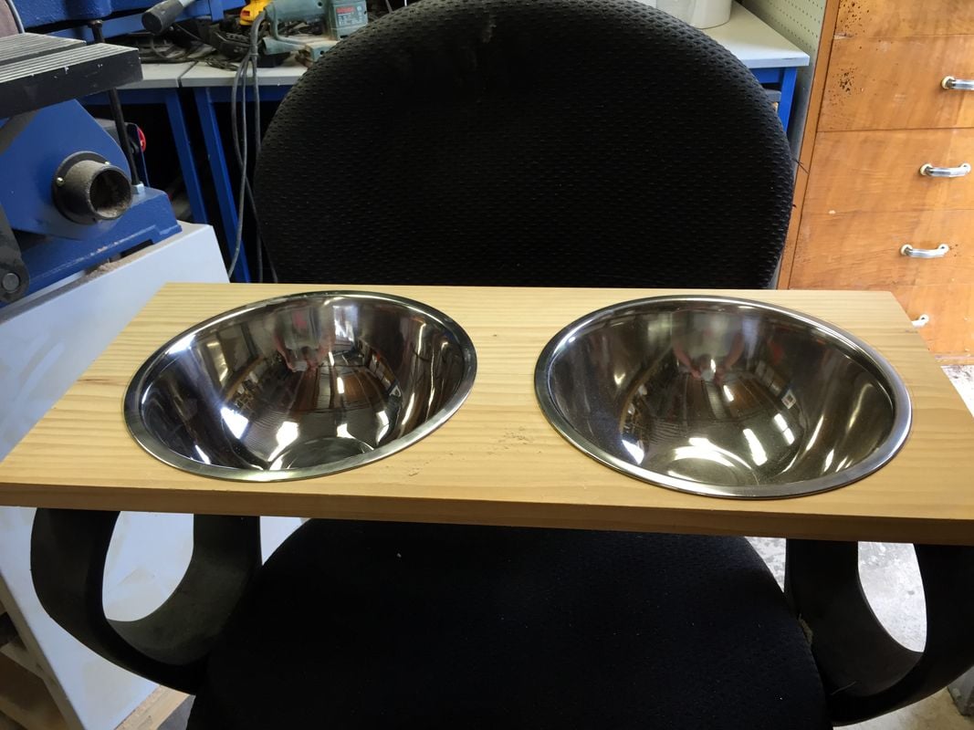 Doggy Bowls 3.jpg Doggy Bowls 3.jpg
