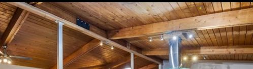 IMG_2732.jpeg IMG_2732.jpeg