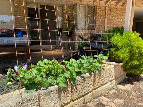 IMG_9664.jpeg IMG_9664.jpeg