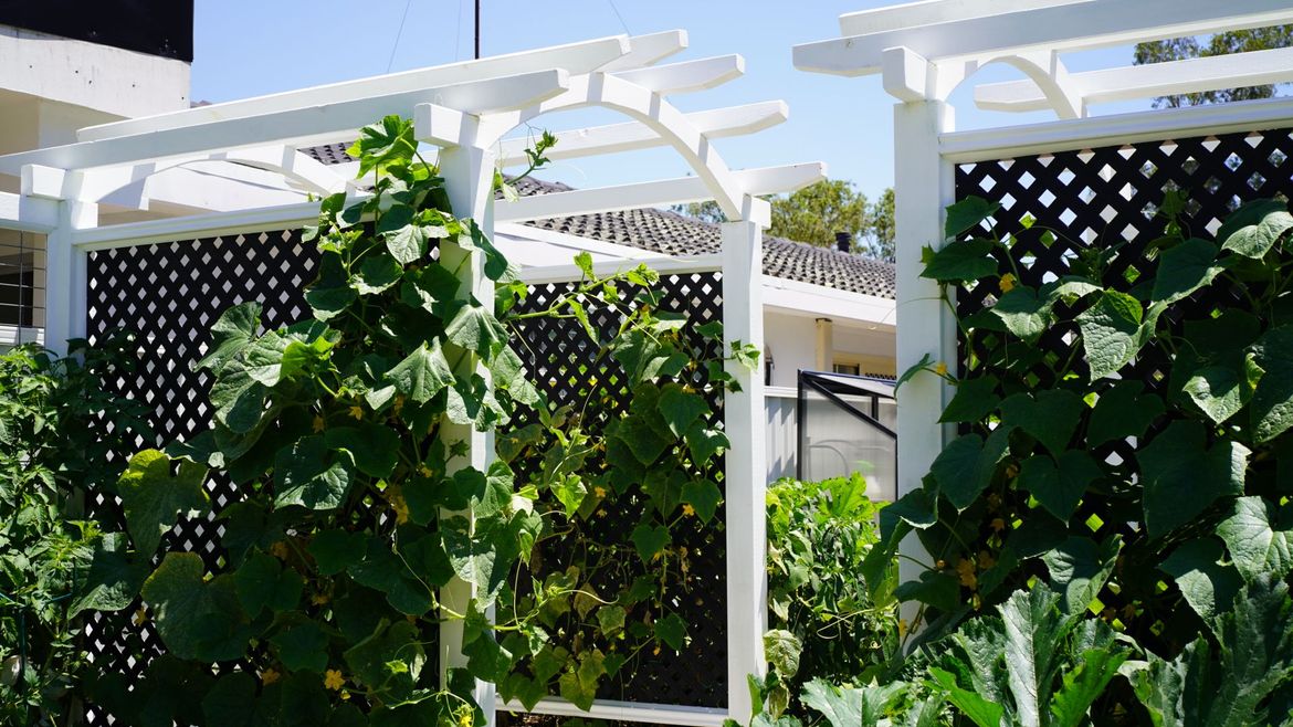 DSC08133.JPG DSC08133.JPG