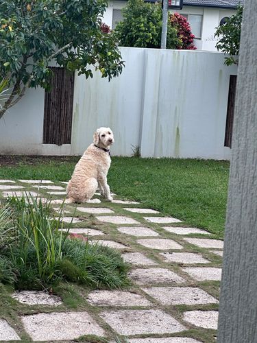 IMG_7653.jpeg IMG_7653.jpeg