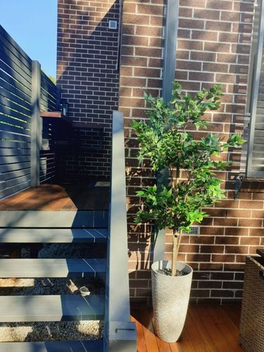 20201012_204525.jpg 20201012_204525.jpg