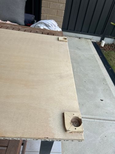 IMG_3728.jpeg IMG_3728.jpeg